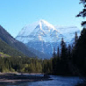 Meet your Posher, Alice